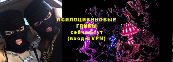 дурь Лагань