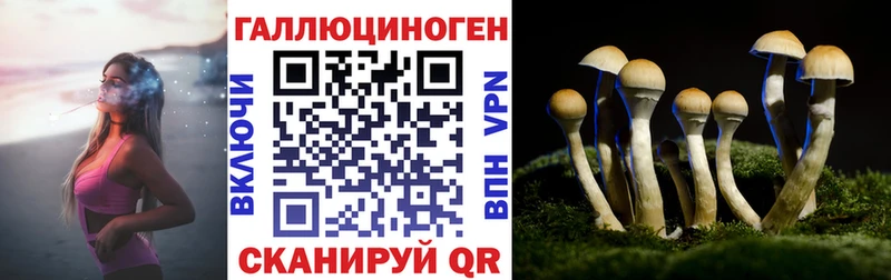 Купить  Заинск  Псилоцибиновые грибы GOLDEN TEACHER 