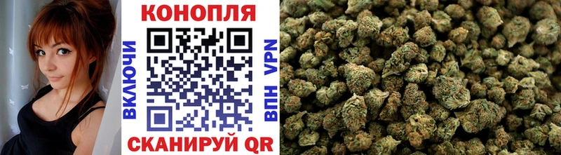 Купить закладки  Заинск  Каннабис план 